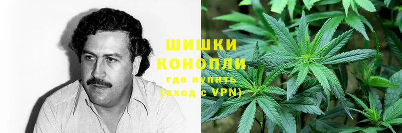 где купить наркоту  Опочка  Каннабис Bruce Banner 